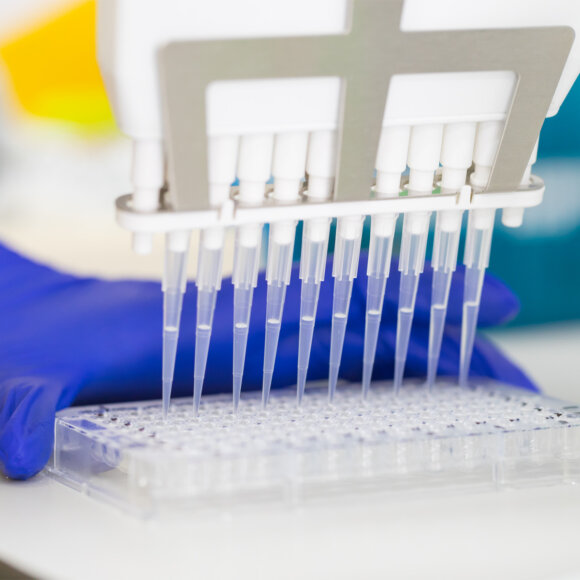 Kit e método ELISA para diagnóstico da tuberculose