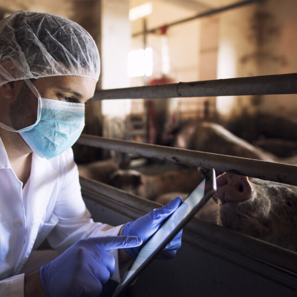 Dispositivo embarcado microcontrolado para localização de animais de fazenda