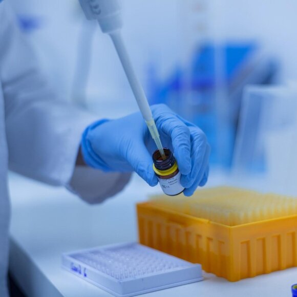 Obtenção e aplicações de peptídeos miméticos de Leishmania spp.