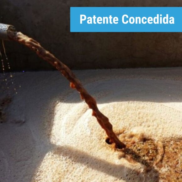 Processo para produção de cafés especiais através da utilização de culturas láticas