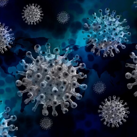 Biossensor óptico para o diagnóstico de infecções virais utilizando polímeros condutores