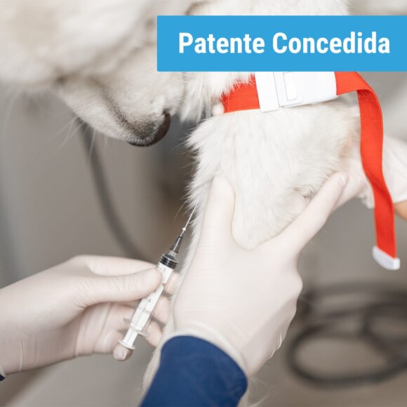 Peptídeo sintético para imunodiagnóstco da leishmaniose visceral canina